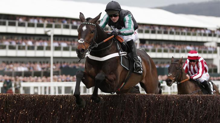 Altior was the pick of the English horses this season